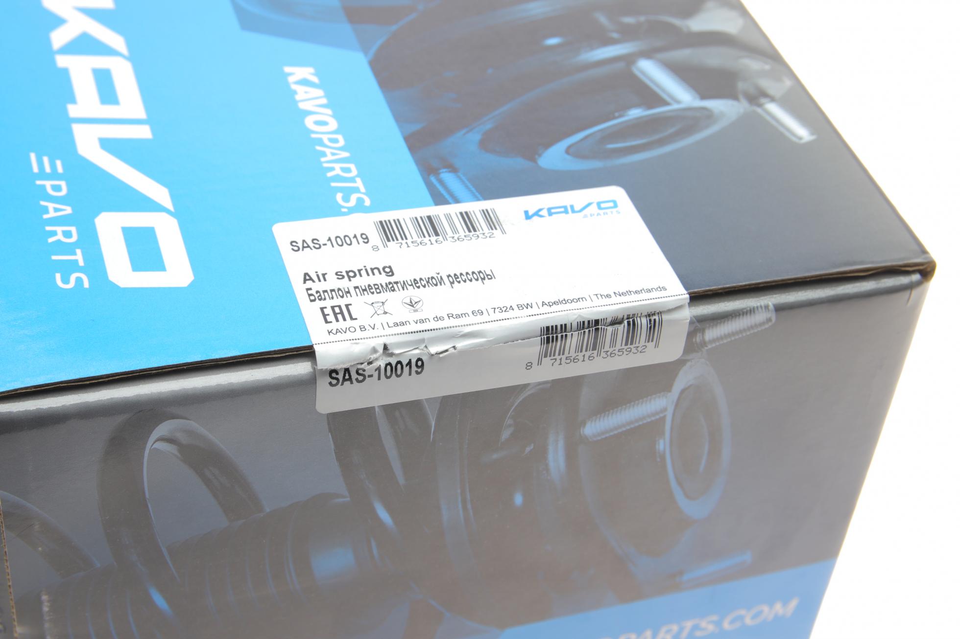 SAS10019 KAVO PARTS